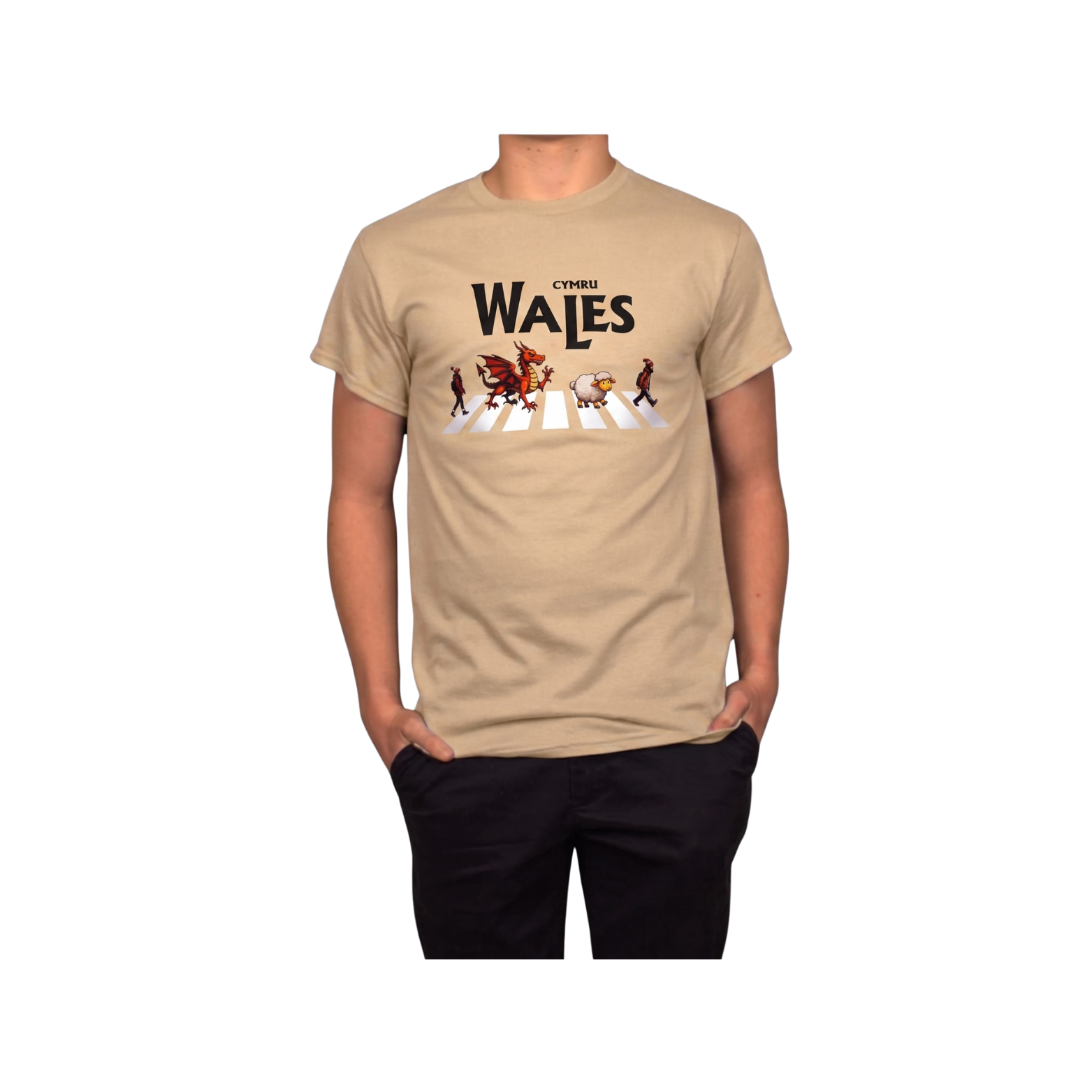 Welsh Abbey Road T-Shirt