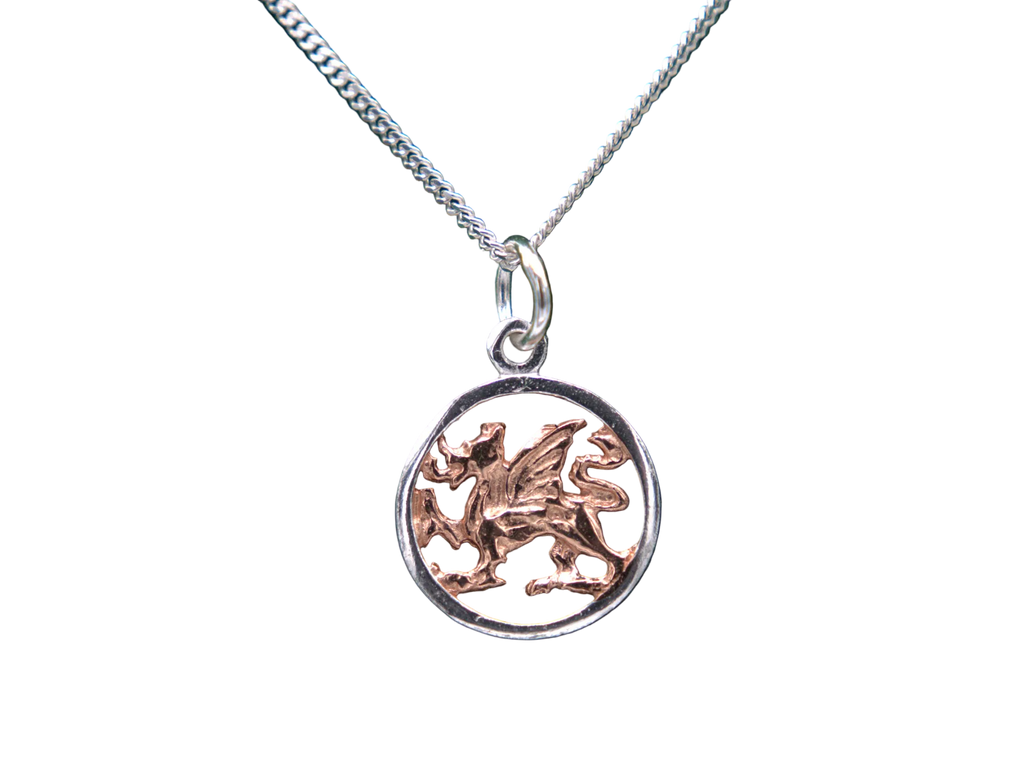 Two Tone Dragon Round Necklace