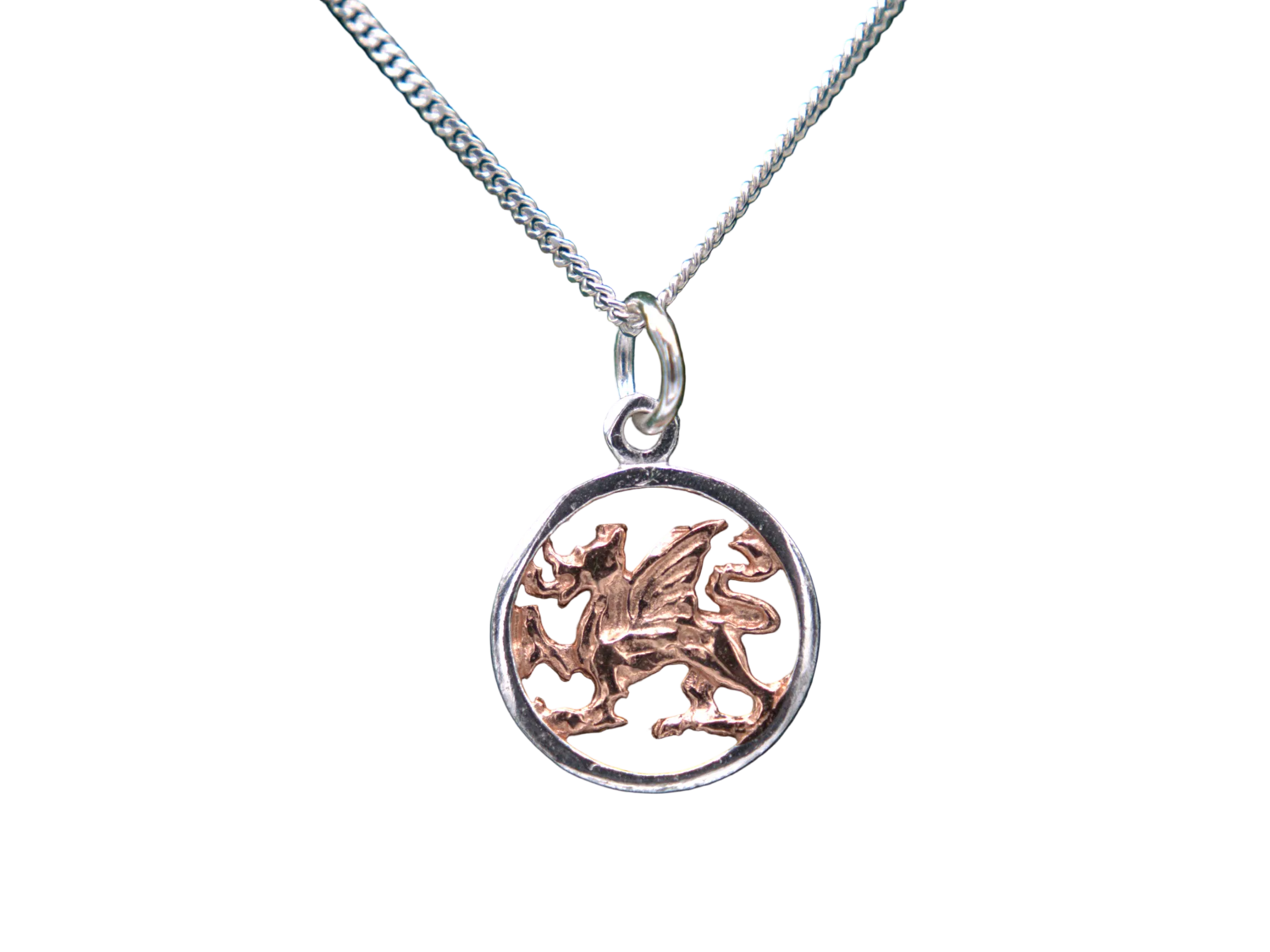 Two Tone Dragon Round Necklace