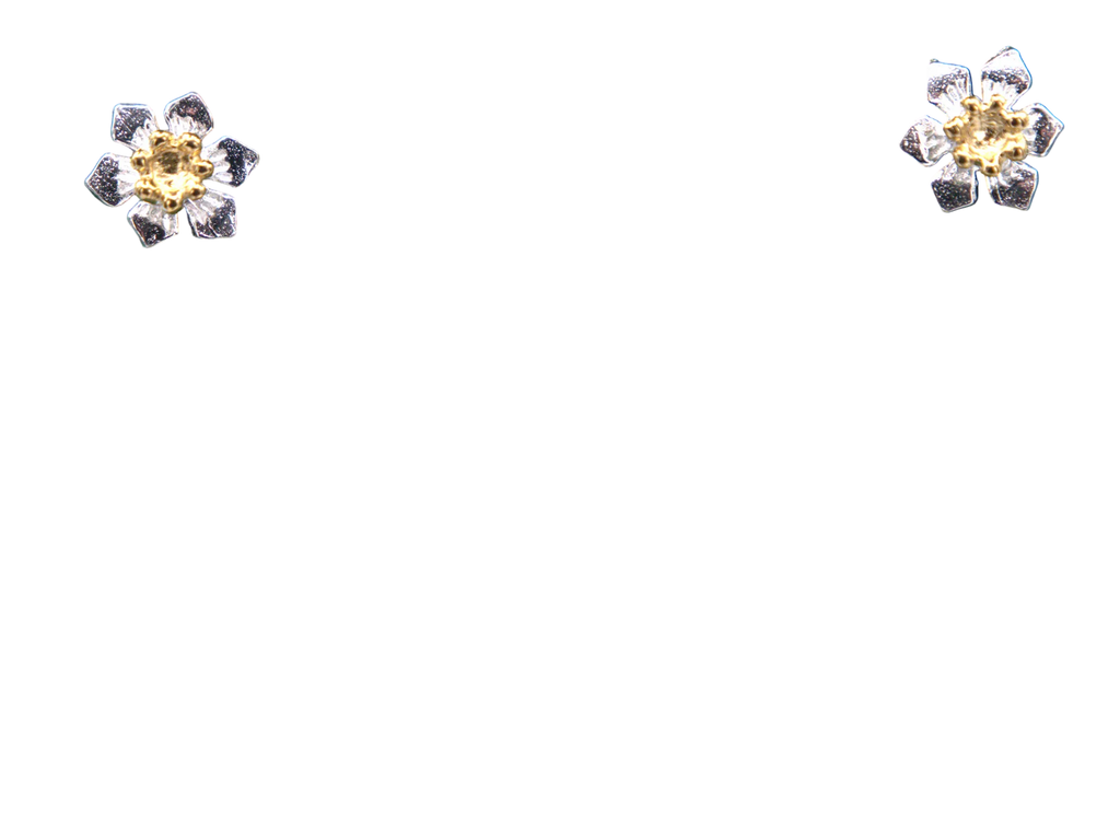 Daffodil Studs