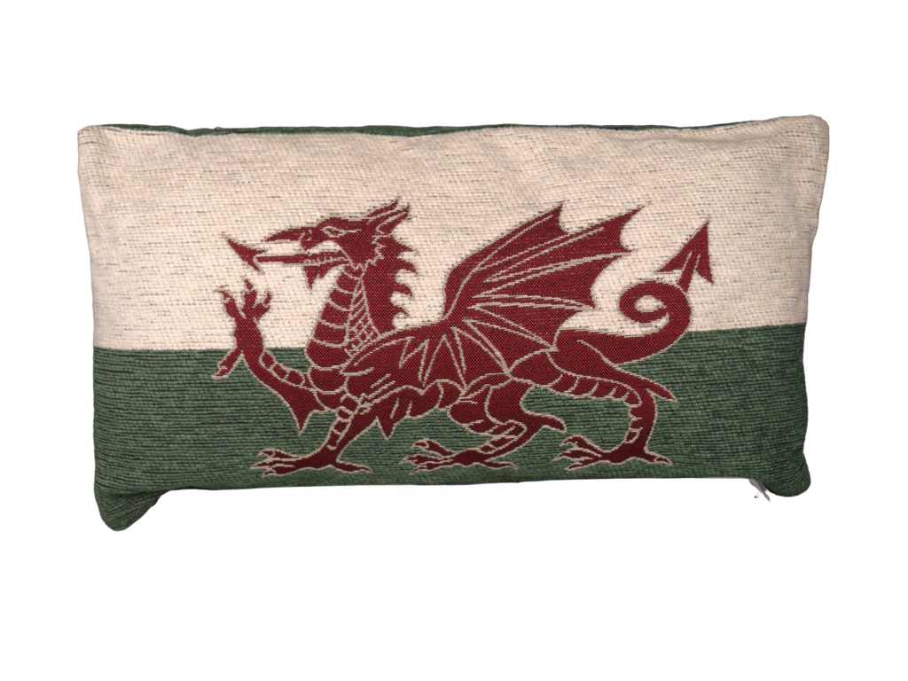 Dragon Cushion
