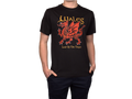 Wales Land of the Dragon T-Shirt