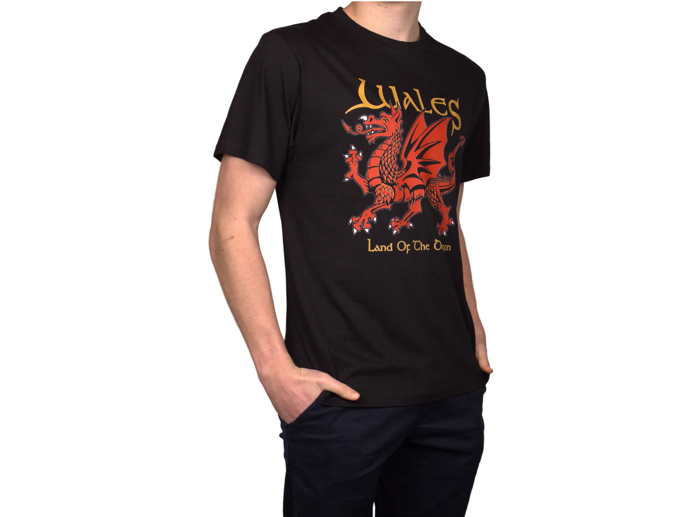Wales Land of the Dragon T-Shirt