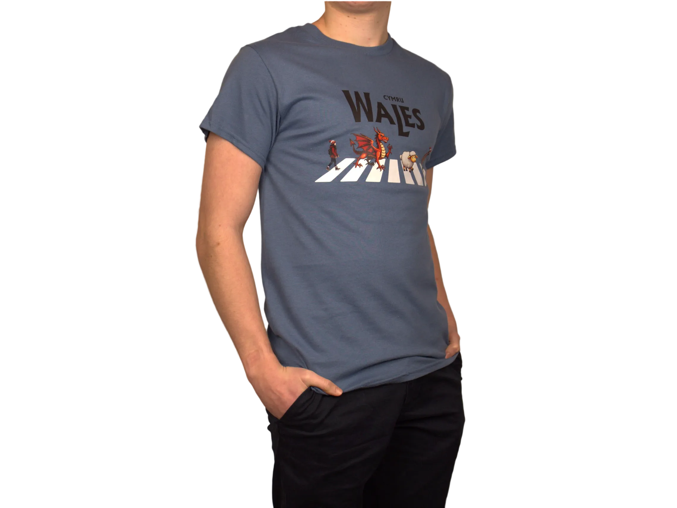 Welsh Abbey Road T-Shirt