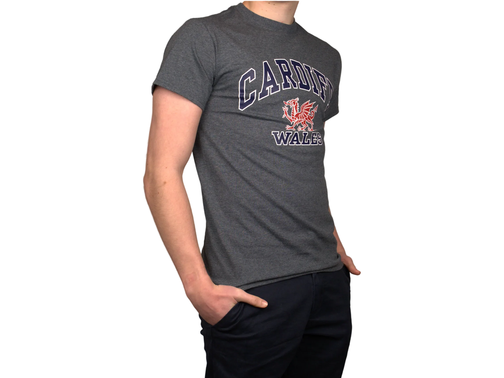 Cardiff Harvard T-Shirt