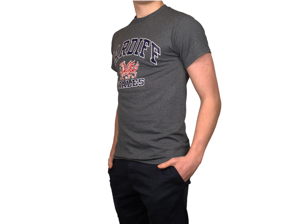 Cardiff Harvard T-Shirt