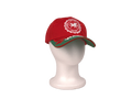 Wales Dragon Baseball Cap