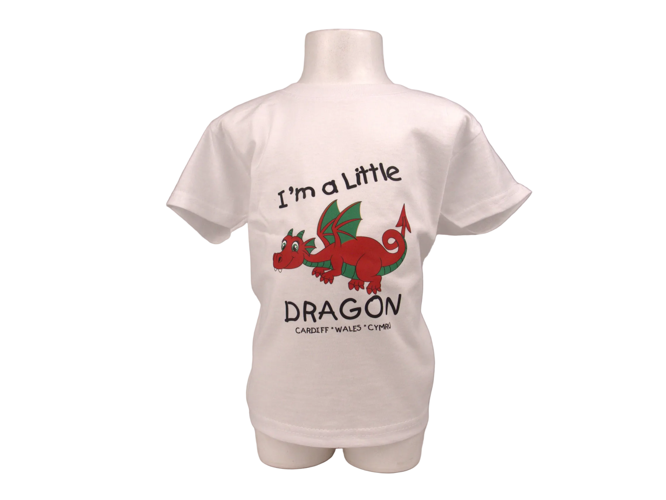 "I'm a Little Dragon" Kids T-Shirt