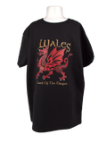 Wales Land of the Dragon Kids T-Shirt