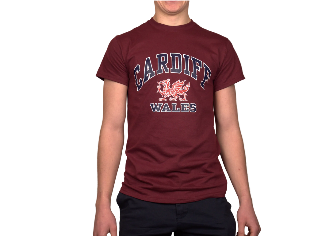 Cardiff Harvard T-Shirt