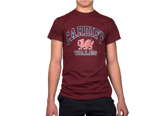 Cardiff Harvard T-Shirt