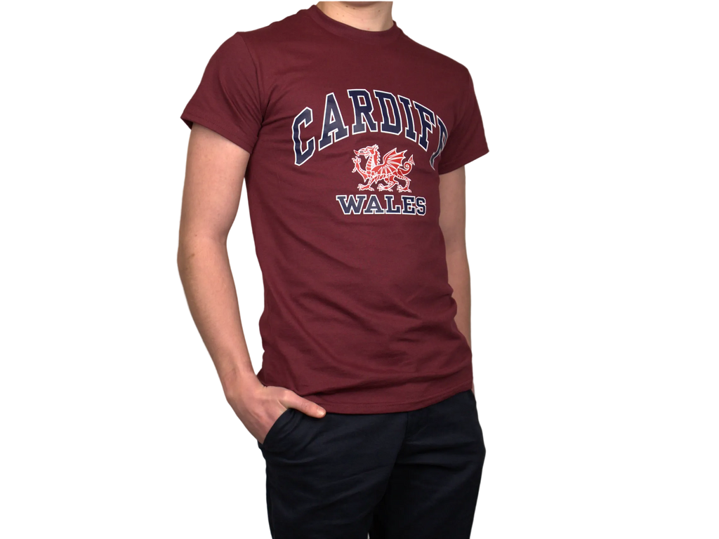 Cardiff Harvard T-Shirt