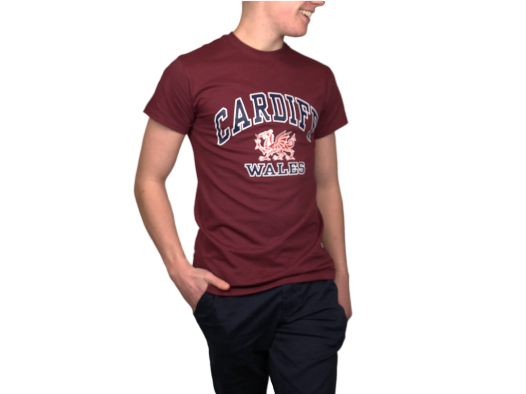 Cardiff Harvard T-Shirt