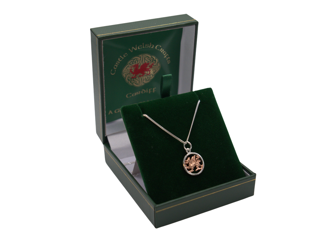 Two Tone Dragon Round Necklace